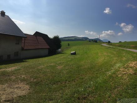 property_photo/65/65-17465257748228.JPG